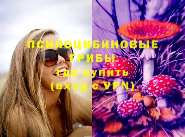 таблы Няндома